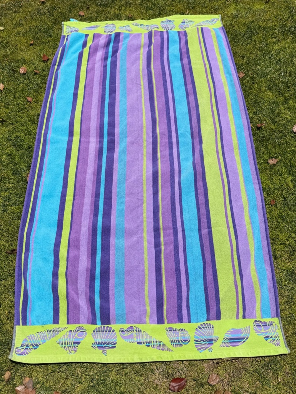Kirkland Colorful Seashell Egyptian Cotton Large Beach Towel Blue Green 37x67